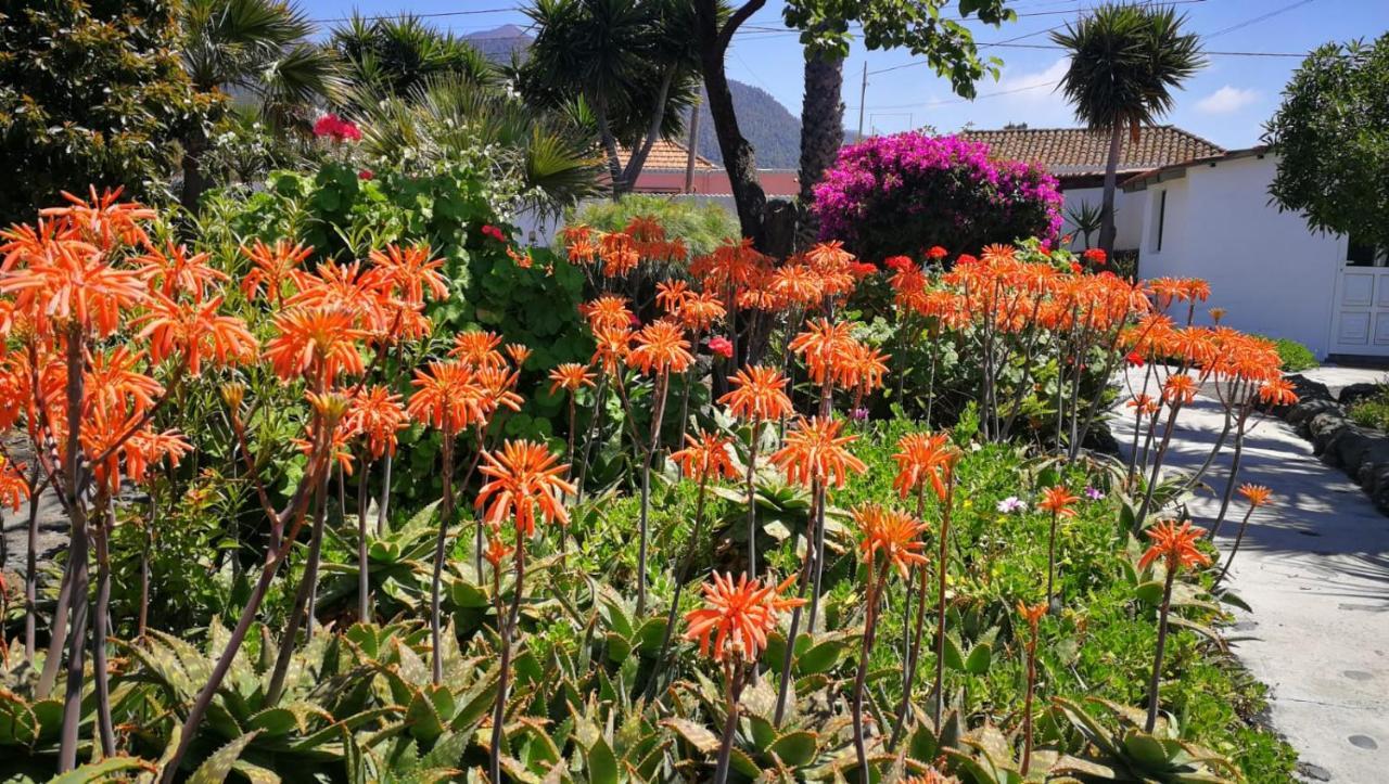 Finca Primavera El Paso Bagian luar foto