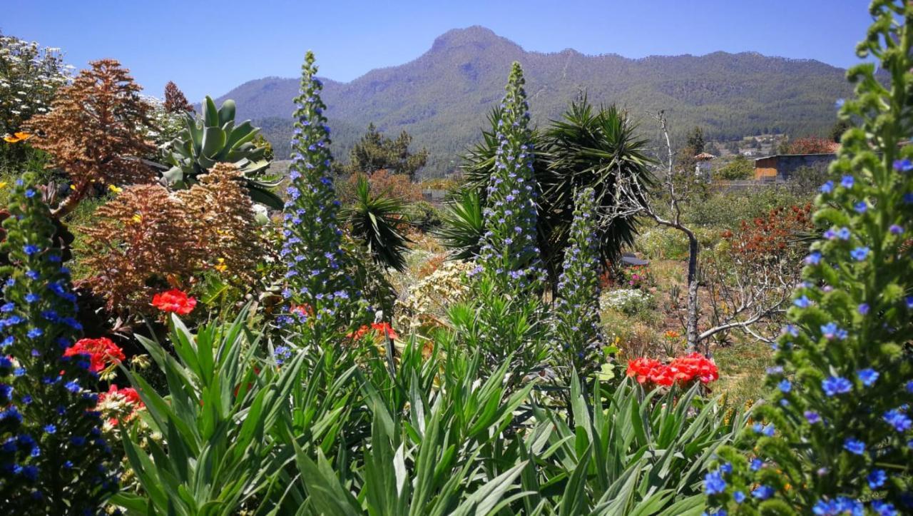 Finca Primavera El Paso Bagian luar foto