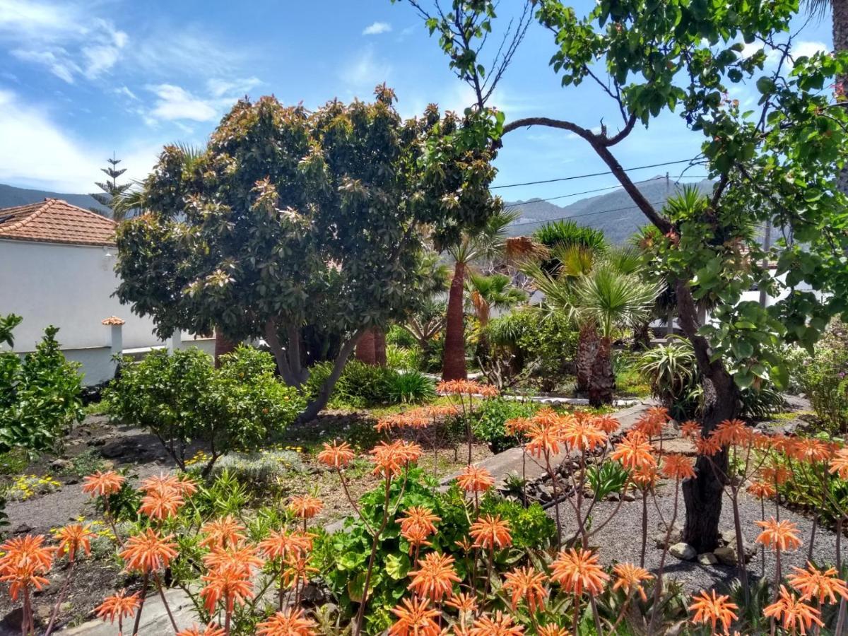 Finca Primavera El Paso Bagian luar foto